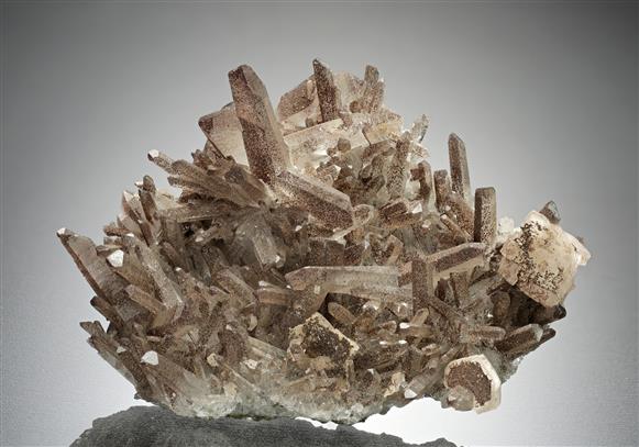 CC8328 specimen image