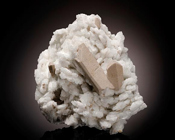 CC8338 specimen image