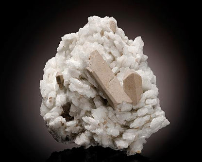 CC8338 specimen image
