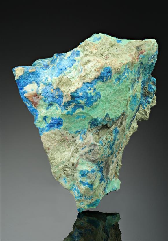 CC8342 specimen image