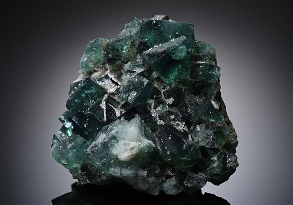 CC8362 specimen image