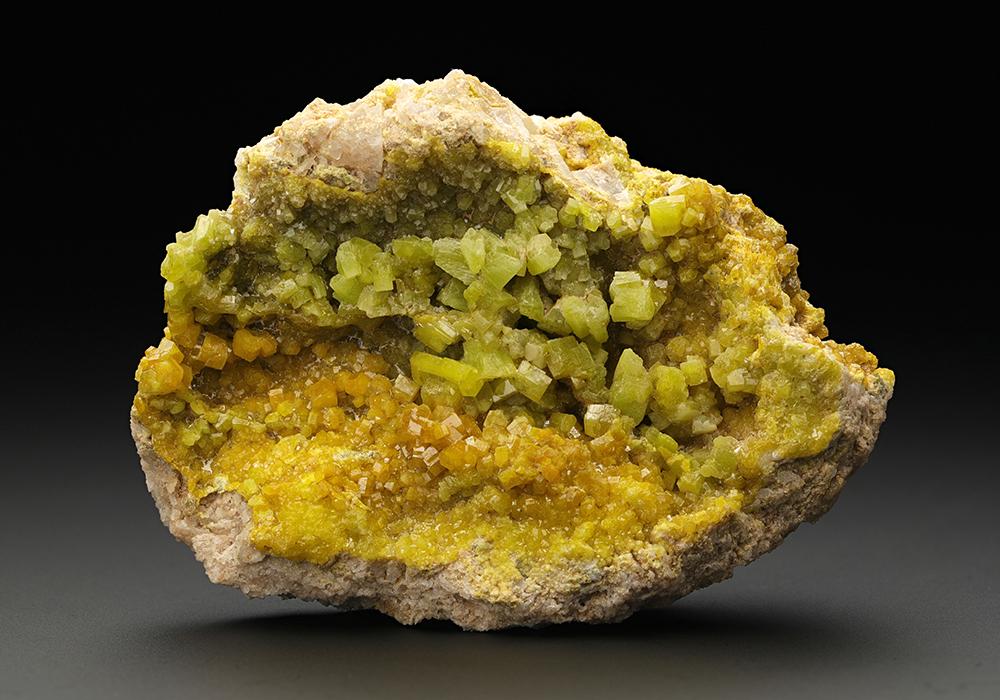 CC8363 specimen image