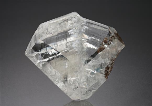 CC8365 specimen image