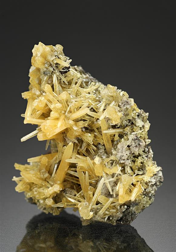 CC8369 specimen image