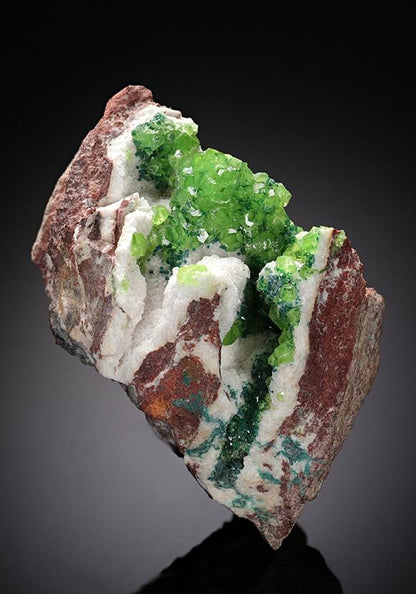 CC8371 specimen image