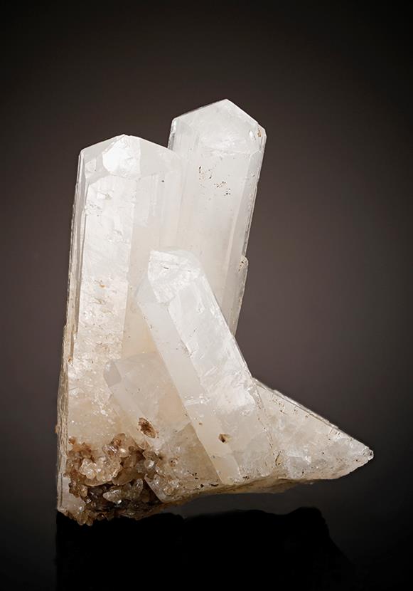 CC8372 specimen image