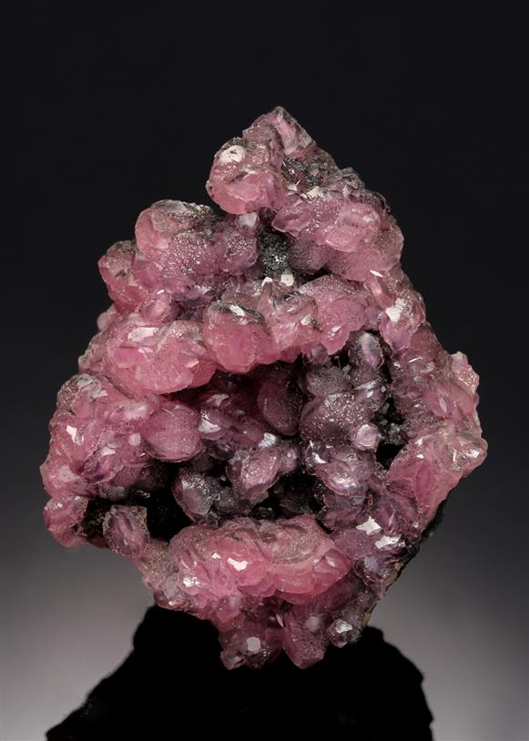 CC8375 specimen image