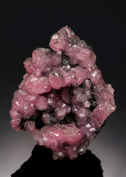 CC8375 specimen image