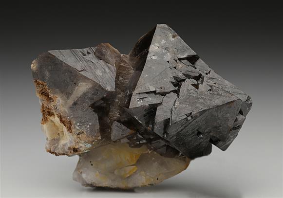 CC8381 specimen image