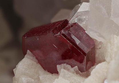 CC8400 specimen image