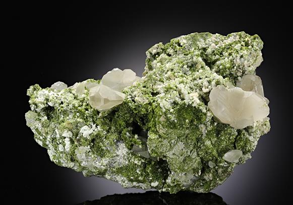 CC8408 specimen image