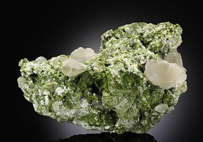 CC8408 specimen image