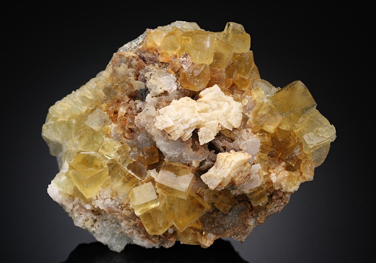 CC8423 specimen image