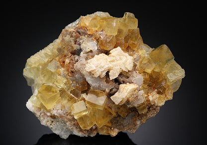 CC8423 specimen image