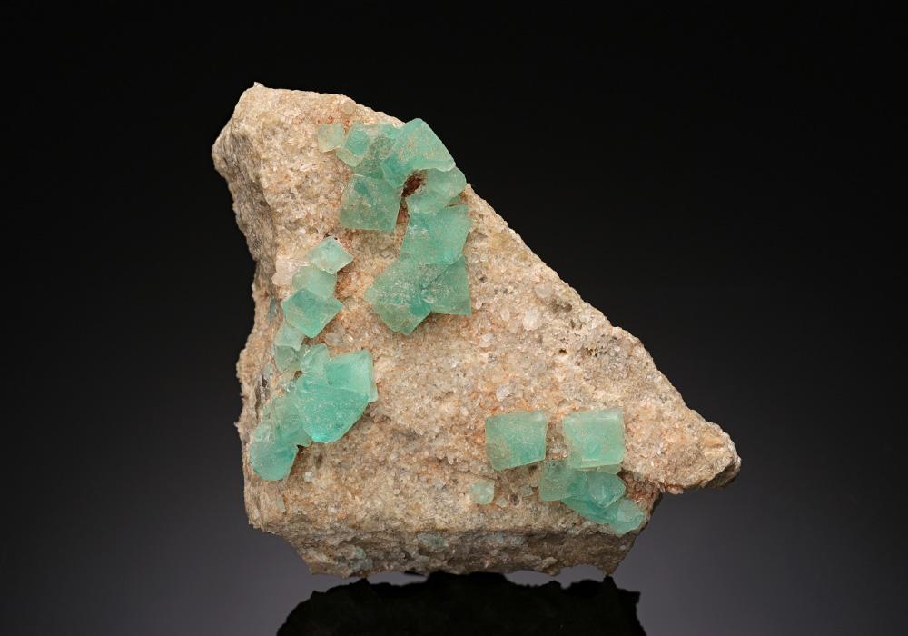 CC8425 specimen image