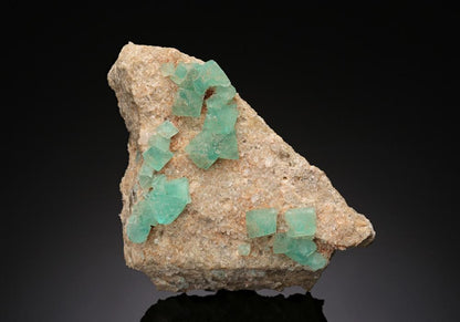 CC8425 specimen image