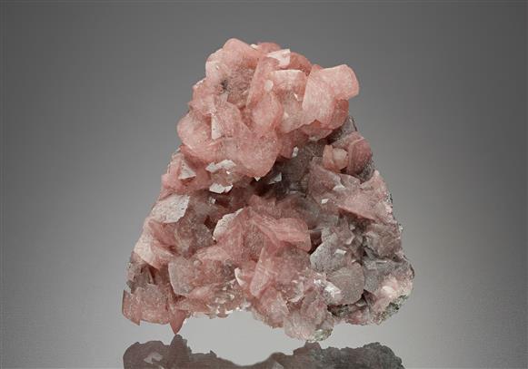 CC8431 specimen image