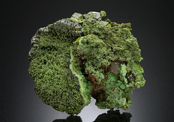 CC8436 specimen image