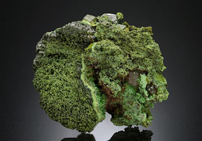 CC8436 specimen image