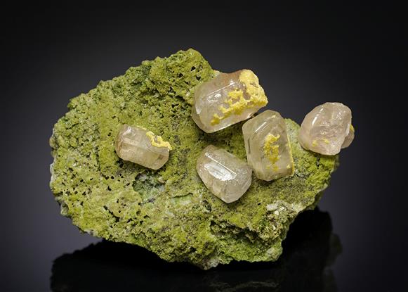 CC8444 specimen image