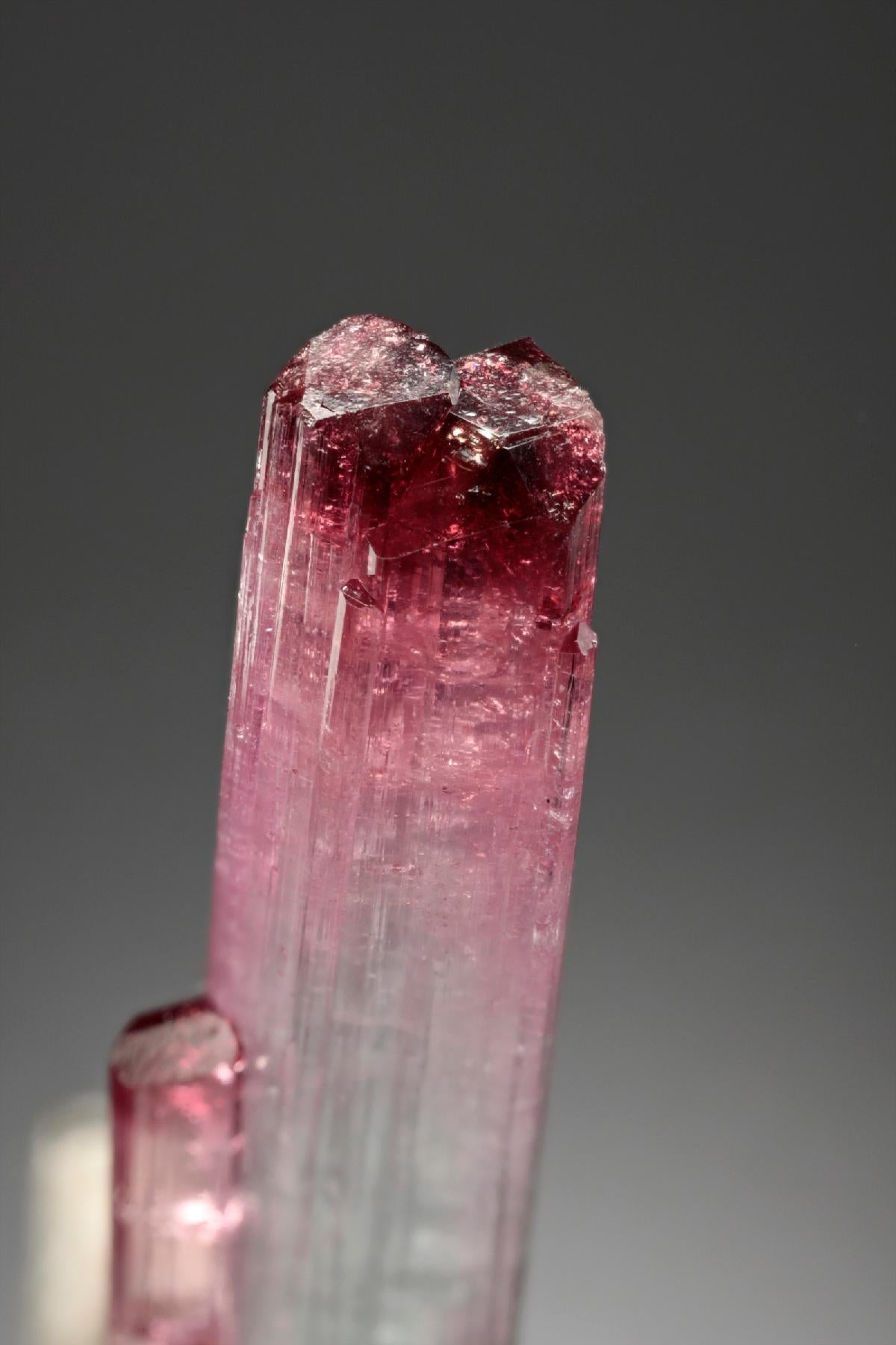 CC8458 specimen image