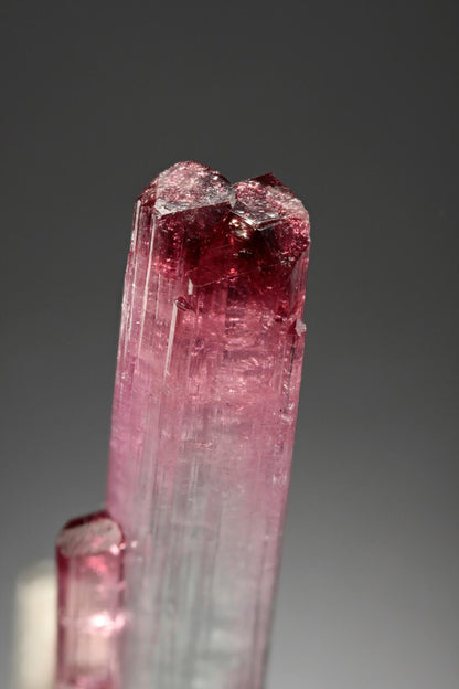 CC8458 specimen image