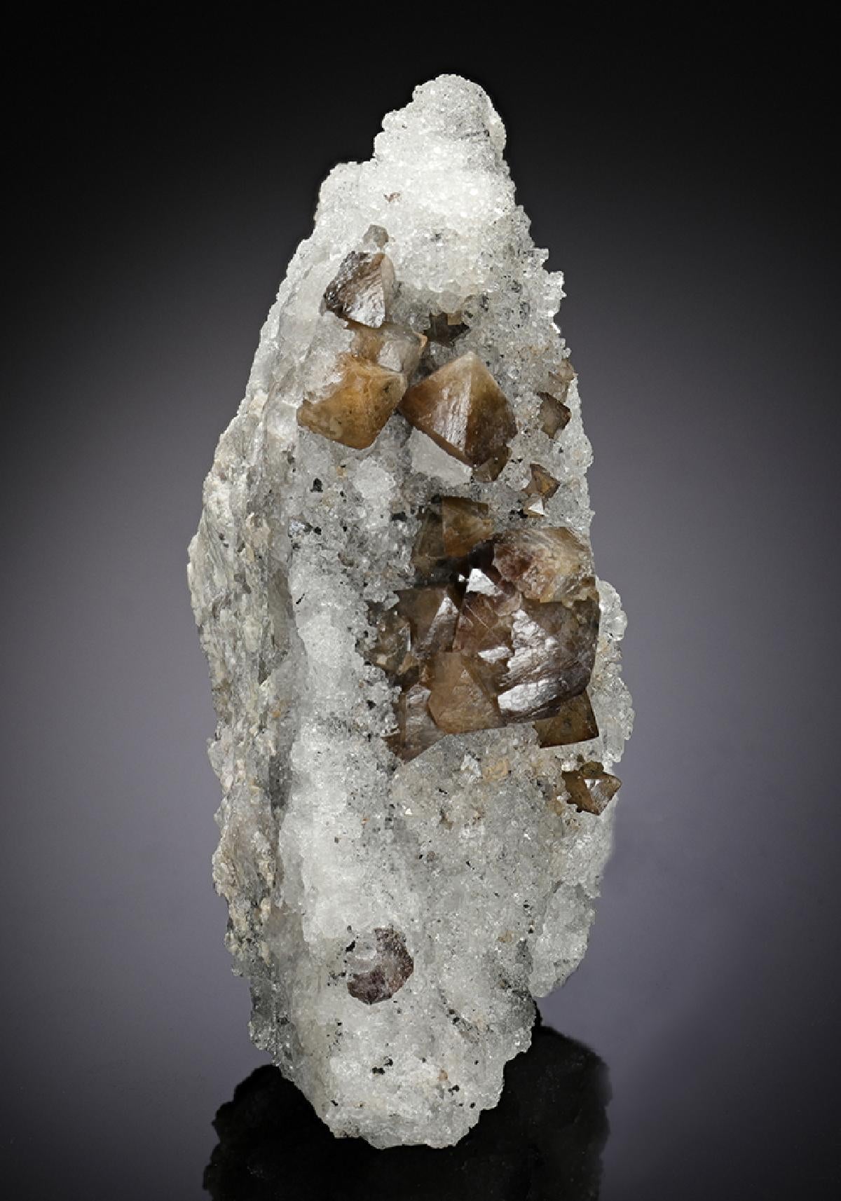 CC8478 specimen image