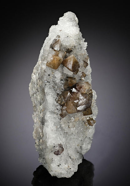 CC8478 specimen image