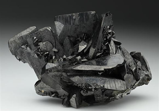 CC8496 specimen image