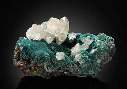 CC8497 specimen image