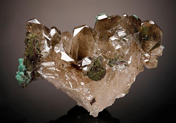 CC8500 specimen image