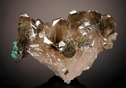 CC8500 specimen image