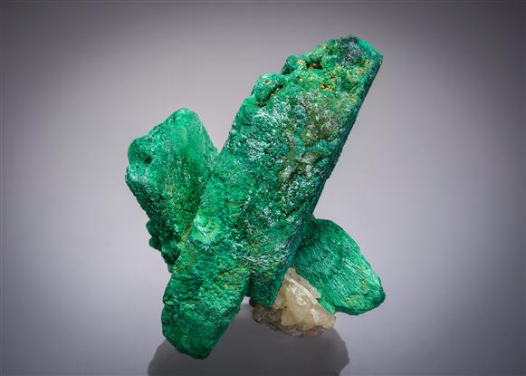 CC8502 specimen image