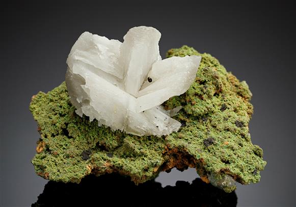 CC8504 specimen image