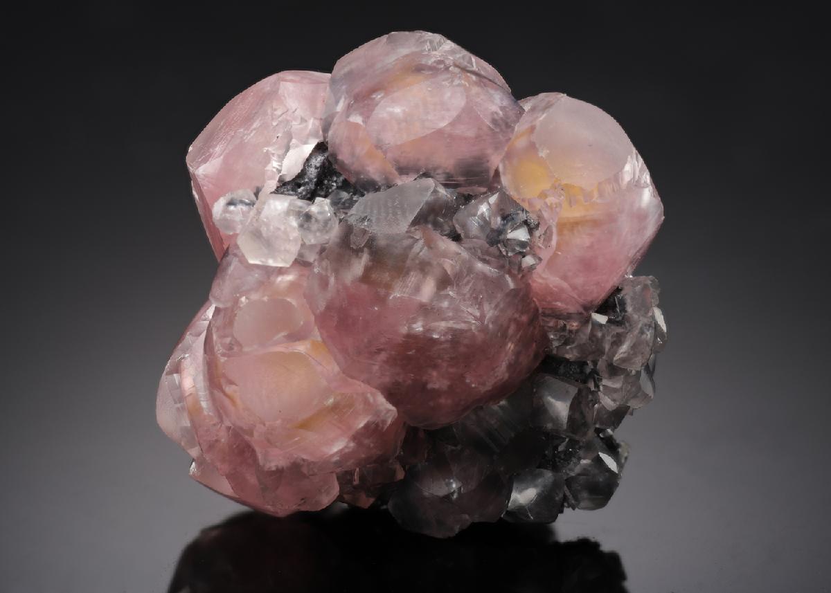 CC8511 specimen image