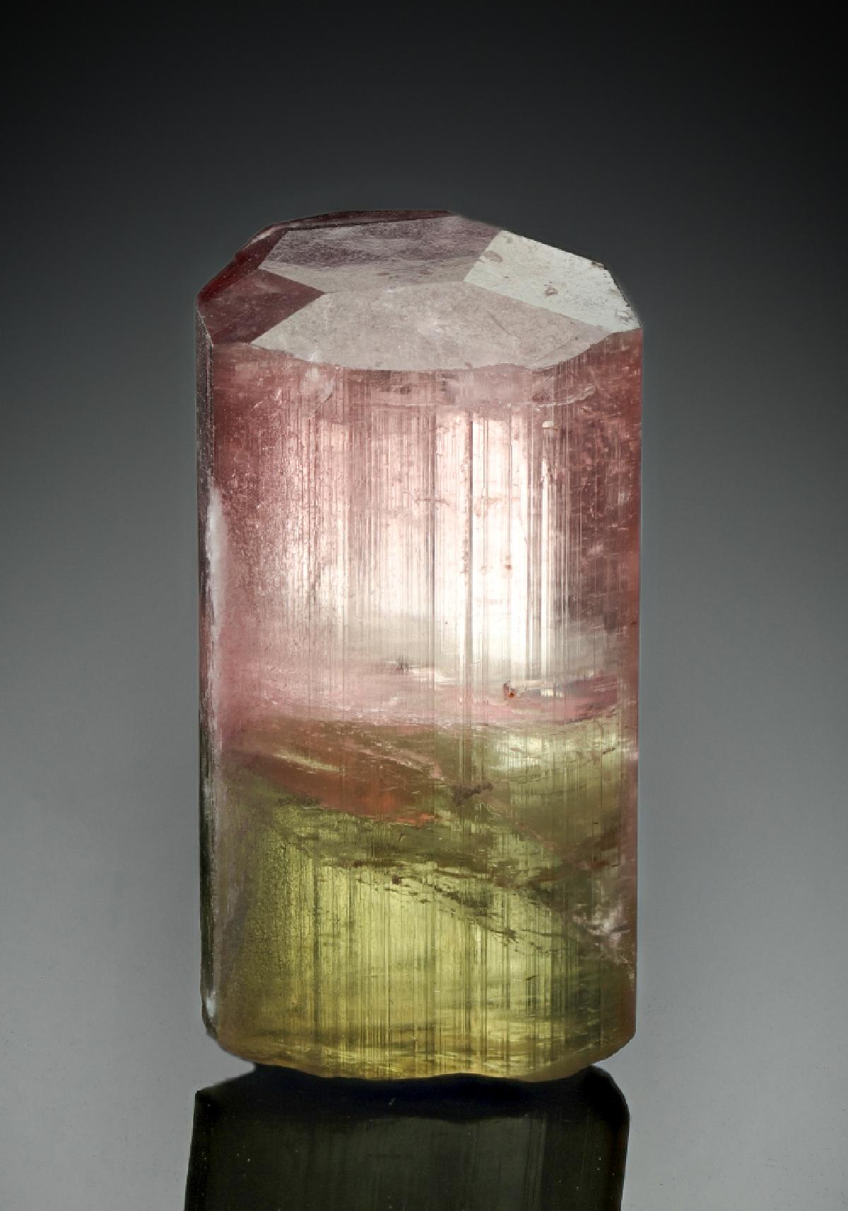 CC8513 specimen image