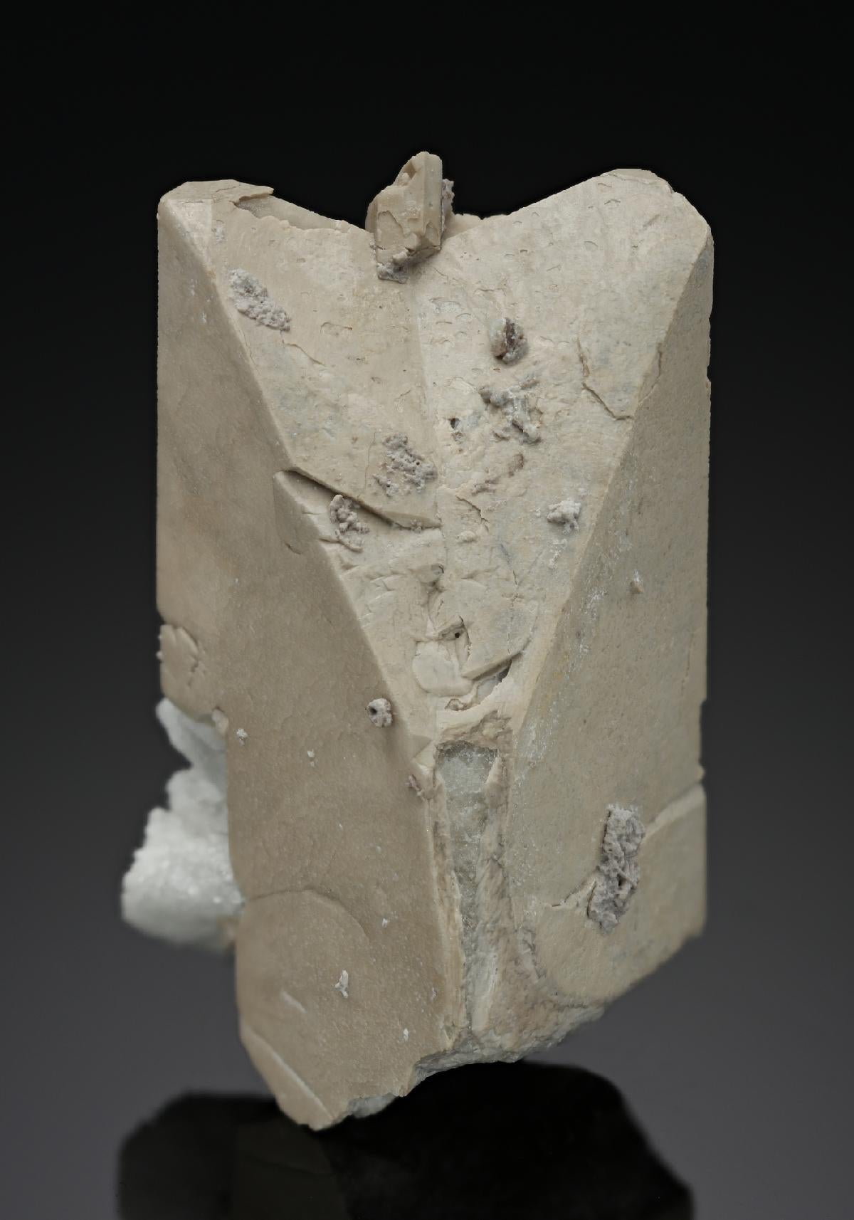CC8515 specimen image