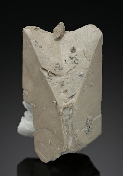 CC8515 specimen image