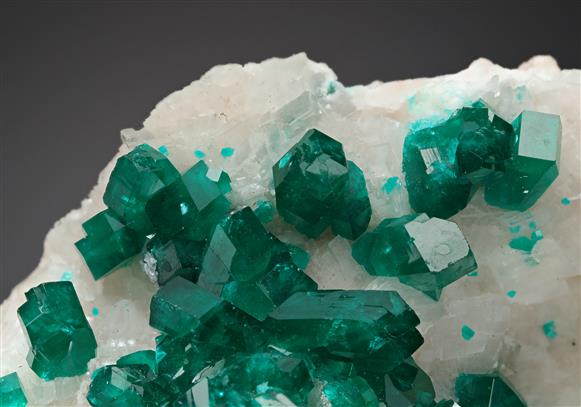 CC8522 specimen image
