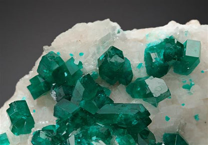 CC8522 specimen image