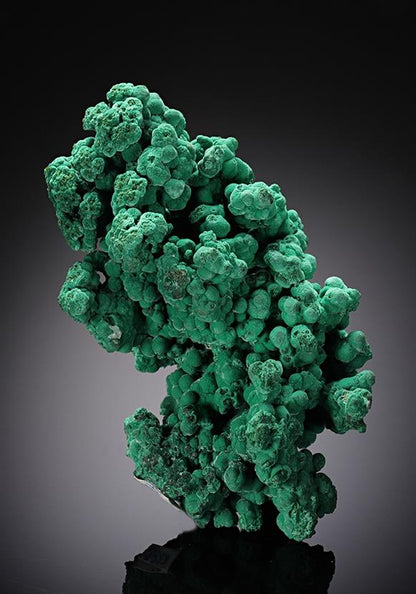 CC8523 specimen image