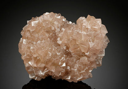 CC8524 specimen image