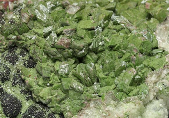 CC8527 specimen image