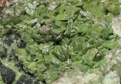 CC8527 specimen image