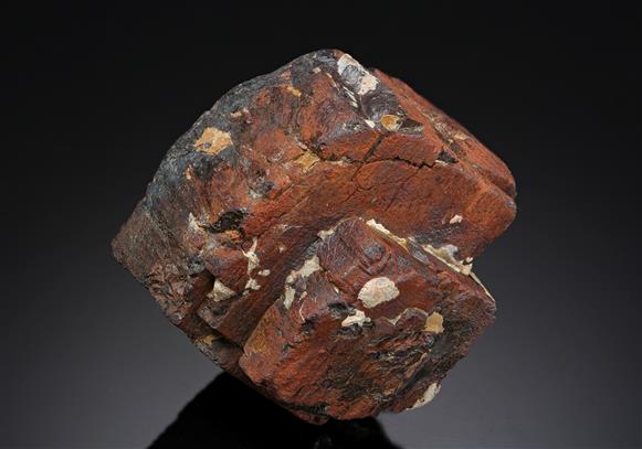 CC8528 specimen image