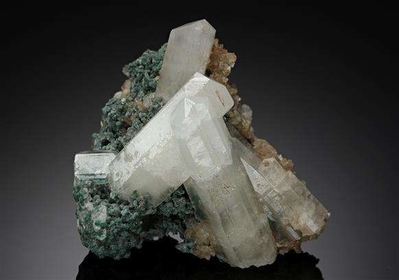 CC8538 specimen image