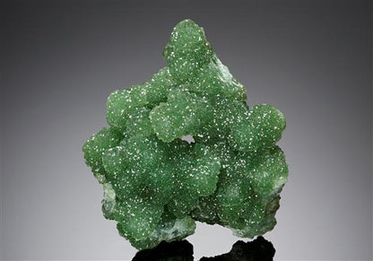 CC8540 specimen image