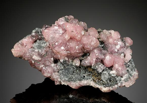 CC8544 specimen image