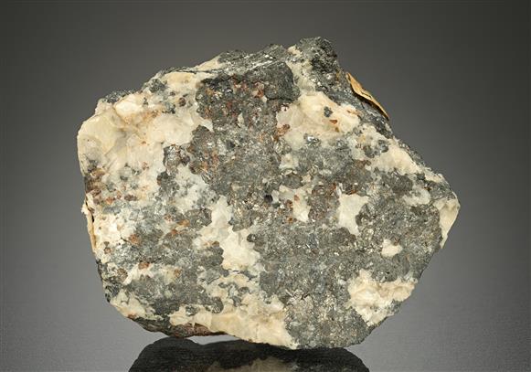 CC8563 specimen image