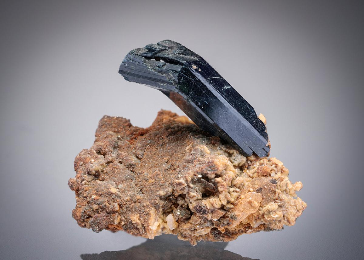 CC8605 specimen image